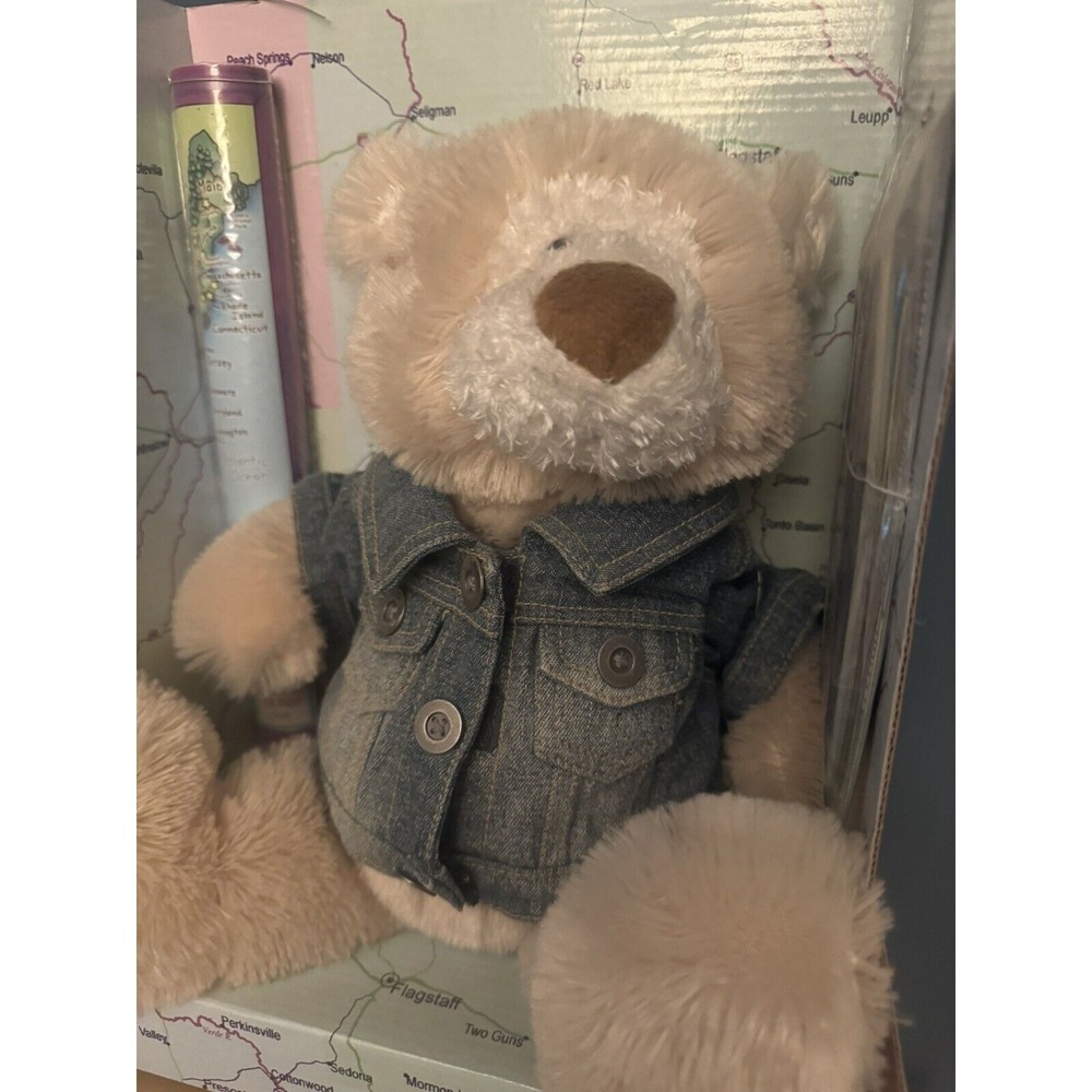 Gund Plush Everywhere Bear Travel Set RARE Kids Teddy Bear Passport Map‎ Etc - Picture 3 of 15